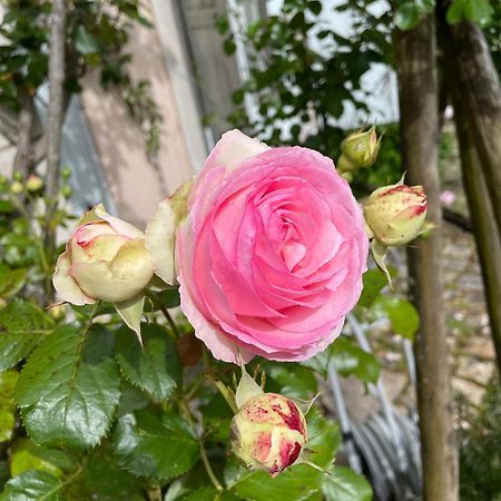 Belle Fontaine Otel Bourges Dış mekan fotoğraf