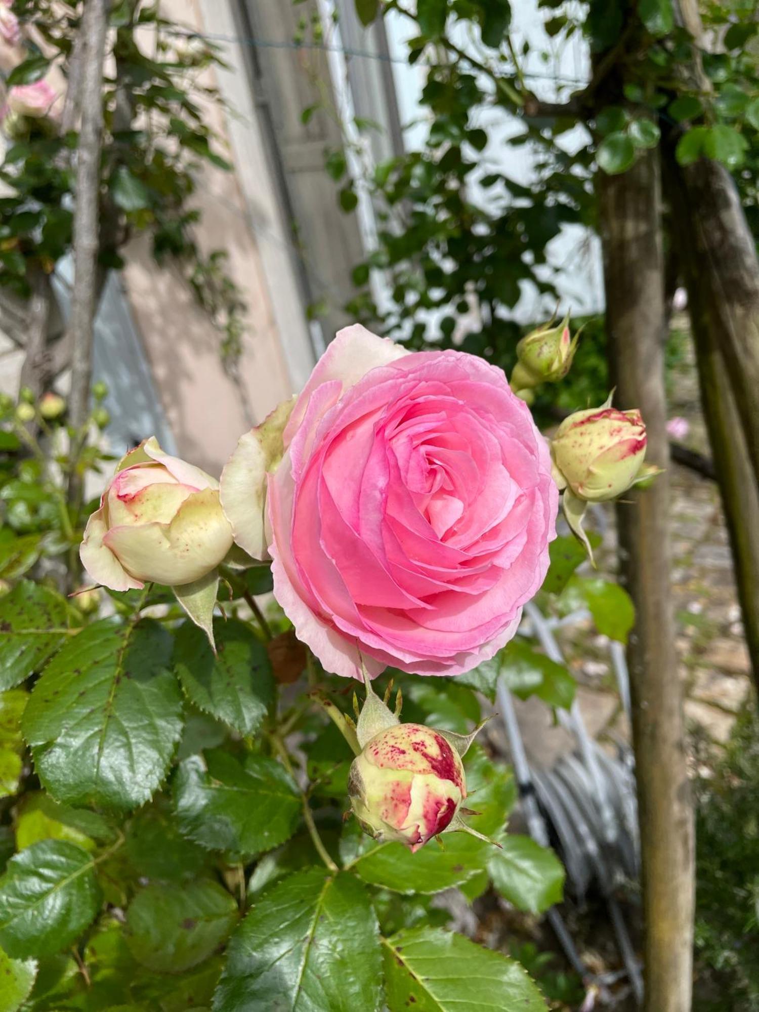 Belle Fontaine Otel Bourges Dış mekan fotoğraf